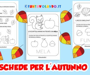 Schede didattiche per l’autunno: è arrivato l’autunno (classe prima)