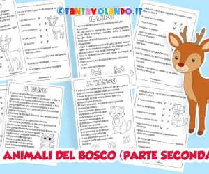 Schede didattiche di scienze: gli animali del bosco (seconda parte)
