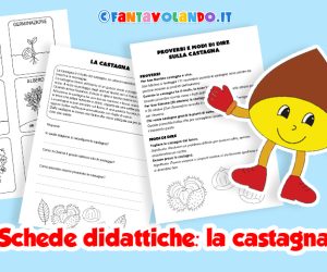Schede didattiche per l’autunno: la castagna